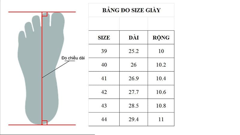 Cách xác định size giày cỡ to chuẩn nhất